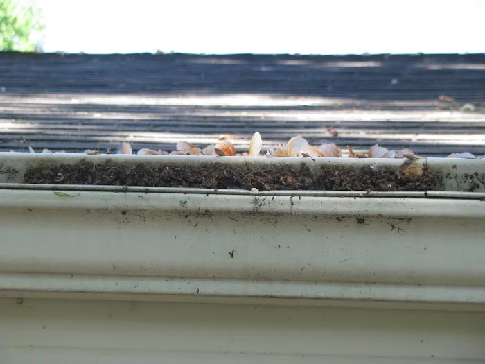 Eisenschink Daniel Picture 1