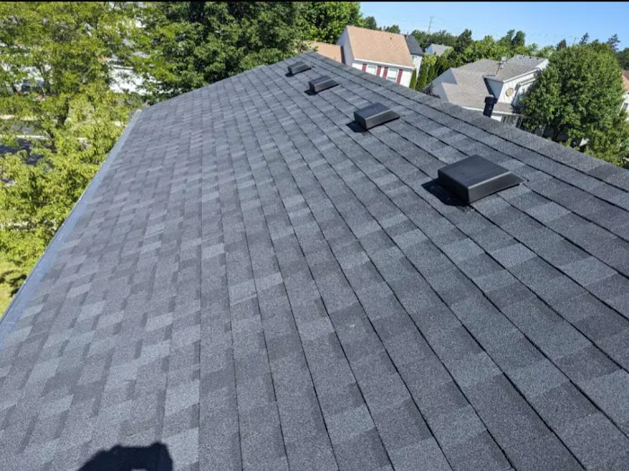 Last Stop Roofing Inc Picture 7