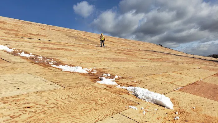 Total Exteriors Picture 9