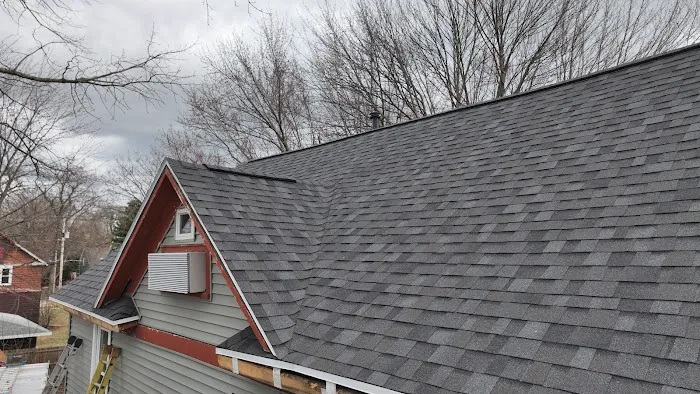 Flash Roofing and Repairs Picture 4