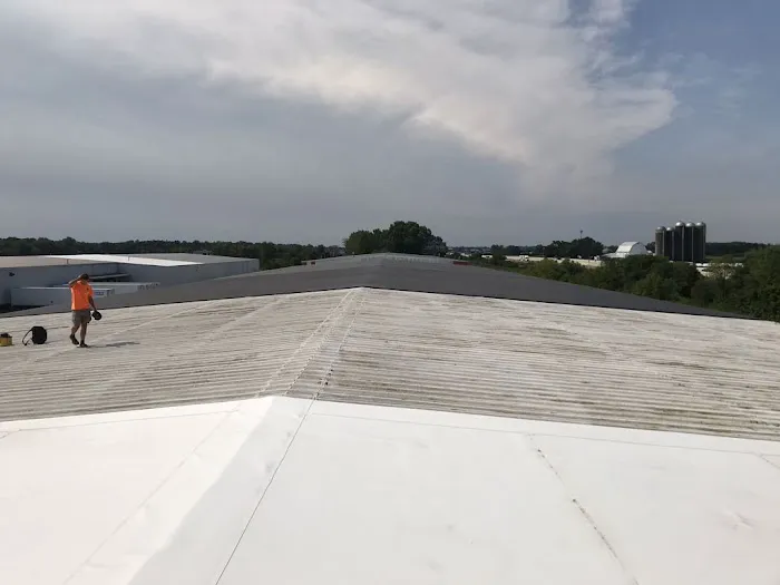 Beyond Roofing and Exterior Picture 2