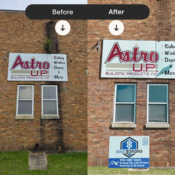 LeDuc Gonano Picture 9