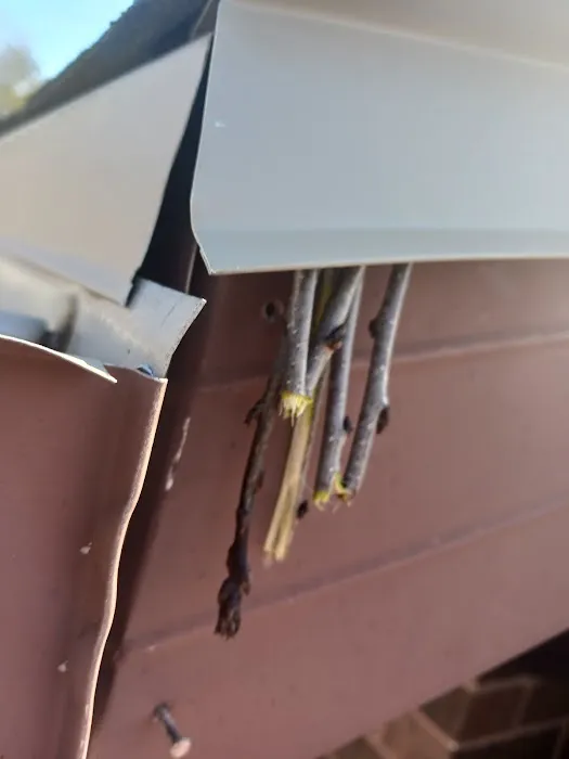 AIM Roofing Picture 3