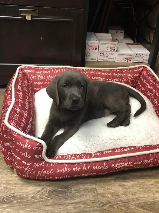 H AND S Roofing LLC Picture 10