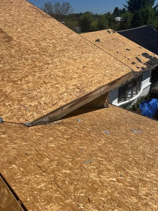 Luxury Roofing Picture 2