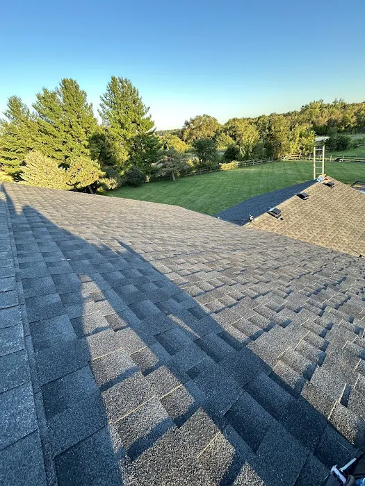 Luxury Roofing Picture 1