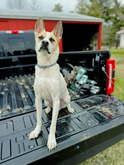 Vantage Construction Solutions LLC Picture 6