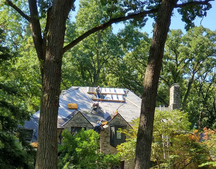 Roof Pro Solutions Picture 3