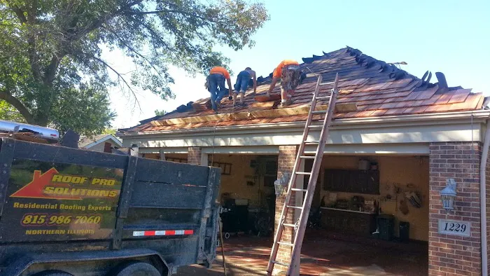 Roof Pro Solutions Picture 2