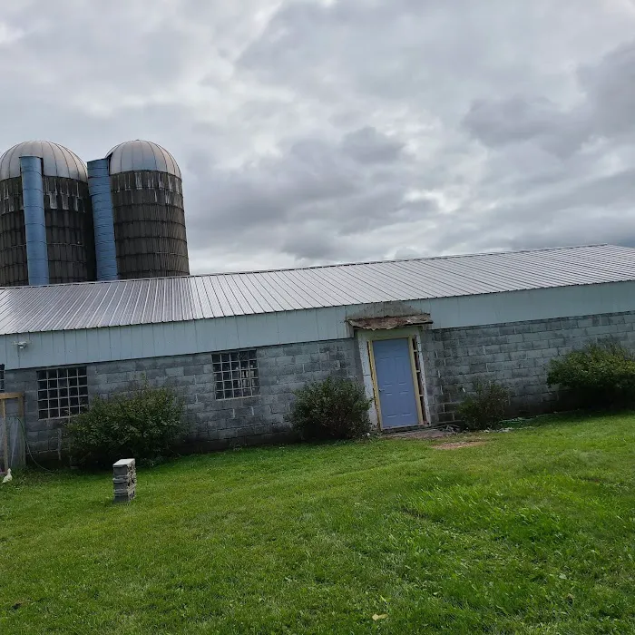 Suburban Steel Roofs Picture 4