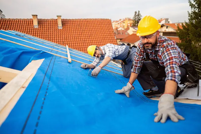 Voomex roofs Picture 4