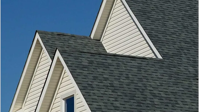 DBS Roofing Picture 2