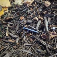 Potomac Exteriors LLC ico