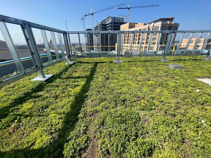 Latino Roofing Llc Picture 2