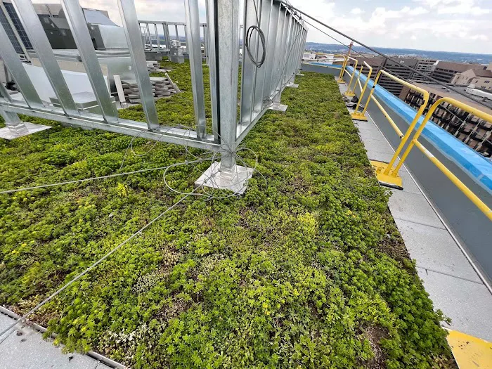 Latino Roofing Llc Picture 10