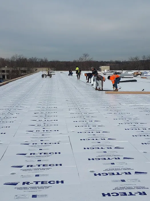 Pioneer Roofing Systems Picture 9