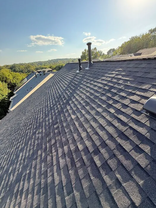 Roof Troopers Picture 5