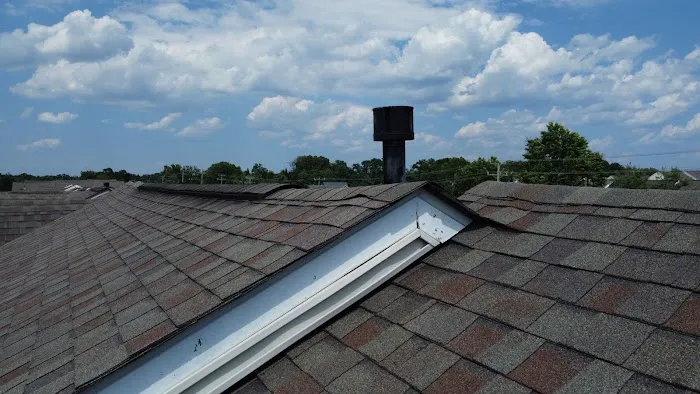 Roof Troopers Picture 3