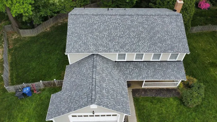 Roof Troopers Picture 2