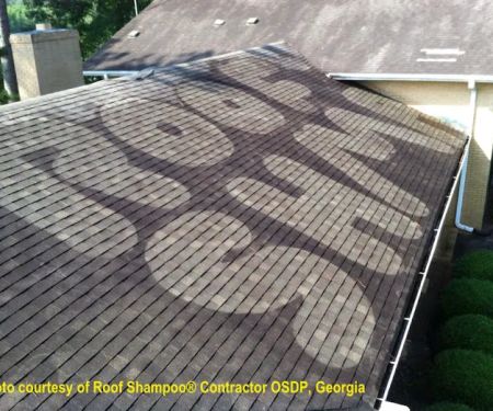 Exterior Surface-Brite Inc. / Roof Shampoo