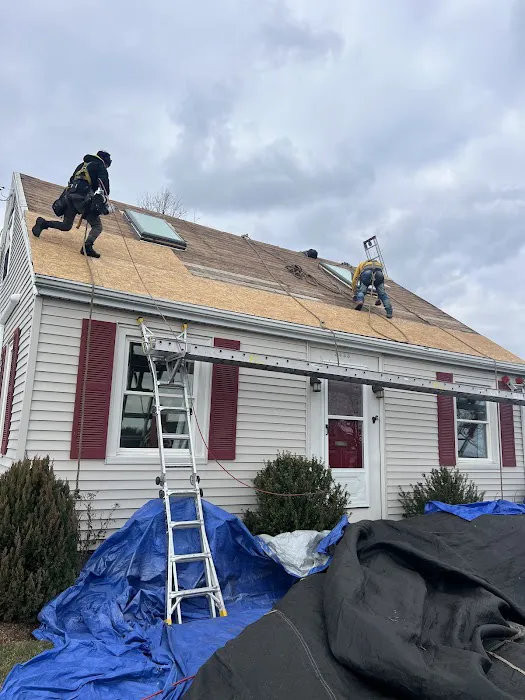 Ferreira Company Picture 2