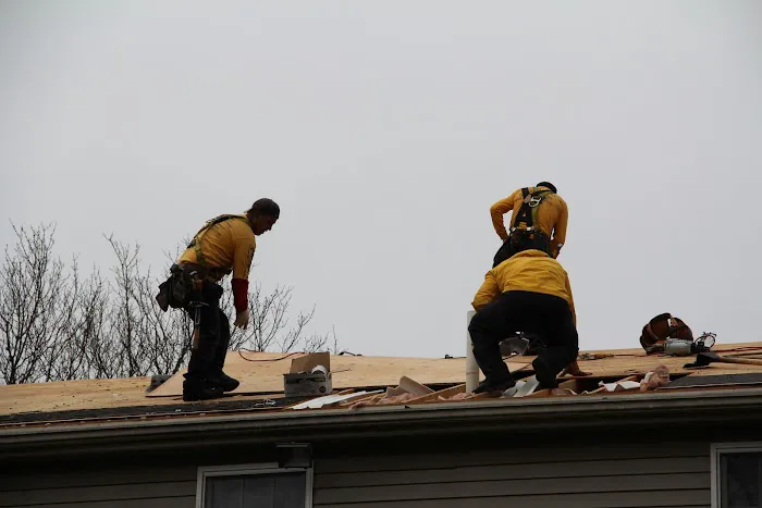 Ferreira Company Picture 1