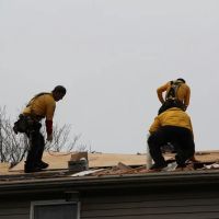 Ferreira Company ico