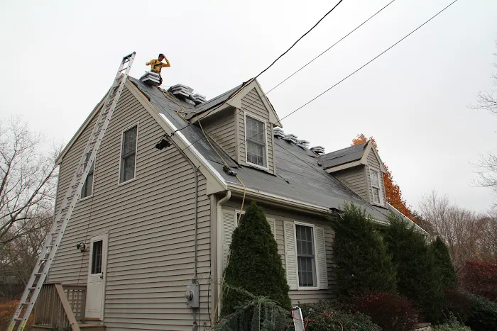 Ferreira Company Picture 4