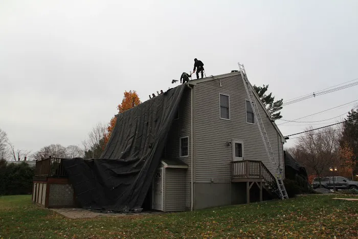 Ferreira Company Picture 8