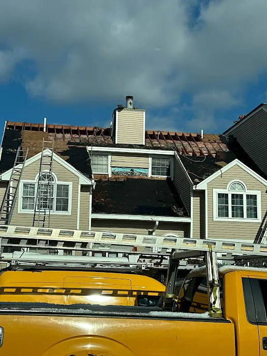 Ferreira Company Picture 5