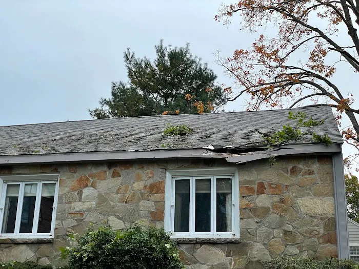 Patriot Shield Roofing Picture 9