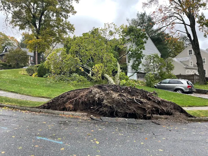 Patriot Shield Roofing Picture 6