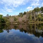 Kevin Lyman Roofing Co.