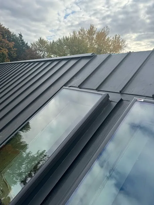 Dynasty Construction Picture 3