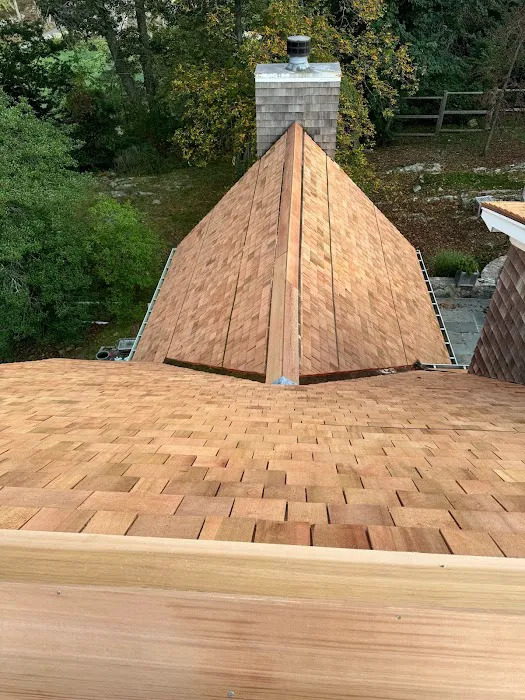 Dynasty Construction Picture 2