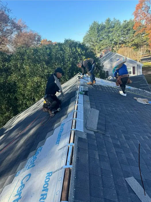 Dynasty Construction Picture 1