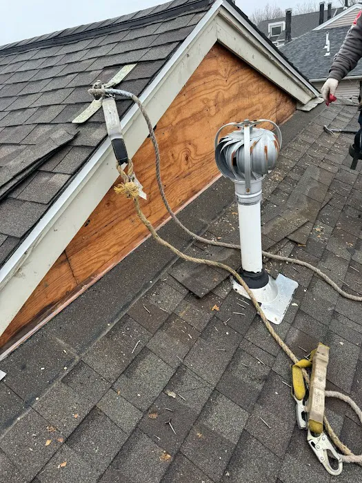 Dynasty Construction Picture 7