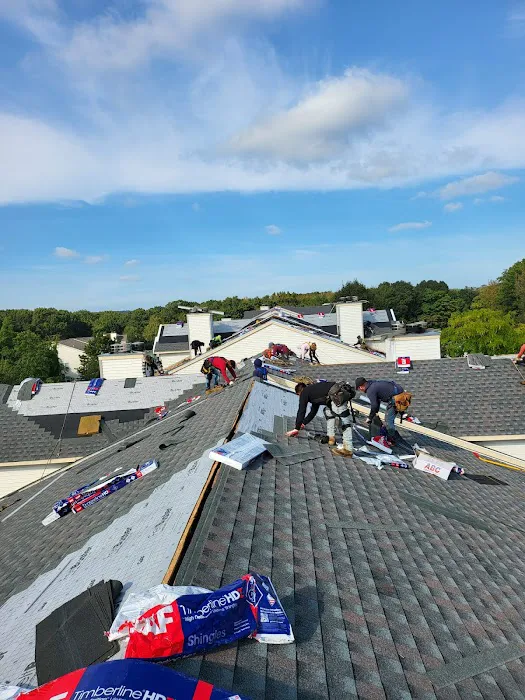 JMI Best Roofing Picture 4