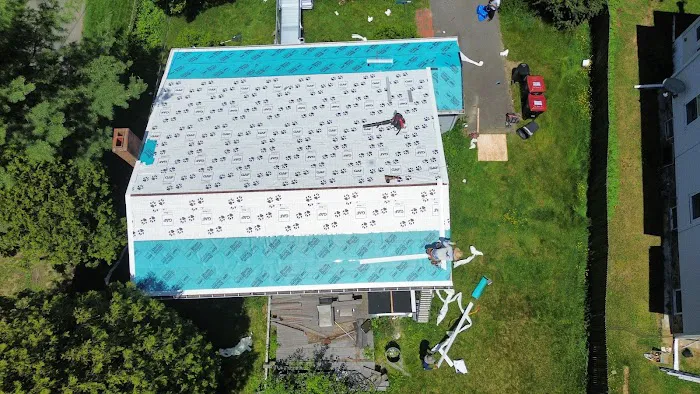 BLUE RHINO ROOFING Picture 3