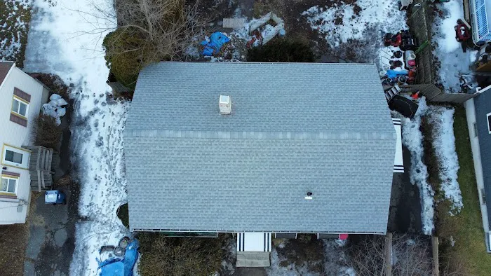 BLUE RHINO ROOFING Picture 7