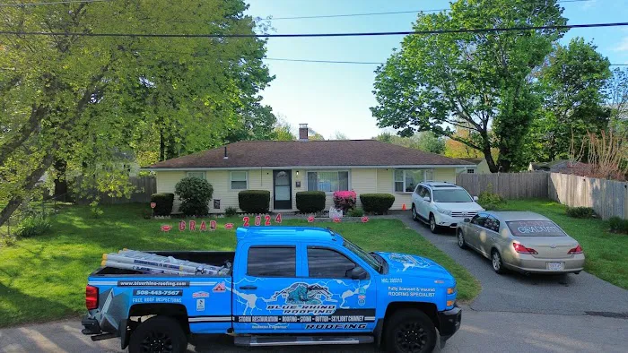 BLUE RHINO ROOFING Picture 1