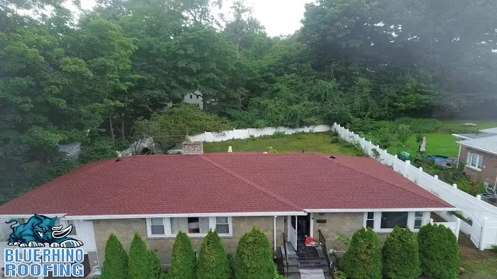 BLUE RHINO ROOFING Picture 9