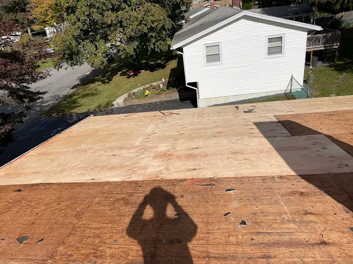 Century Home Renovation Picture 8