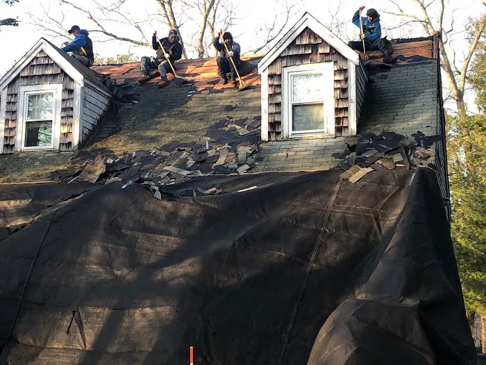 D. Vito Roofing Picture 3