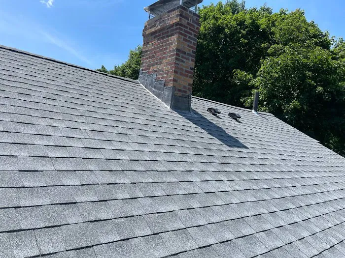 Viola Roofing & Contracting Picture 1