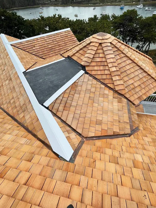 Vilex Inc. Roofers Picture 7