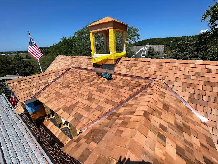 Vilex Inc. Roofers Picture 5