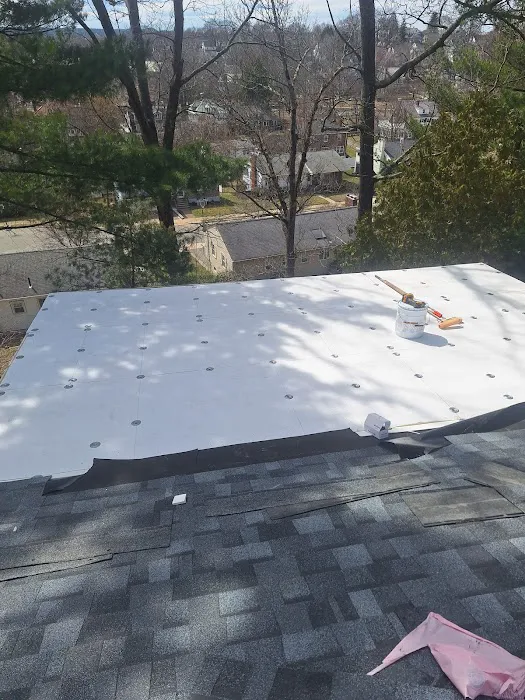 O'LYN Roofing Picture 4