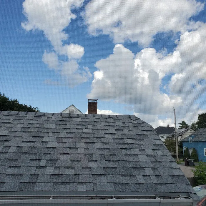 O'LYN Roofing Picture 8