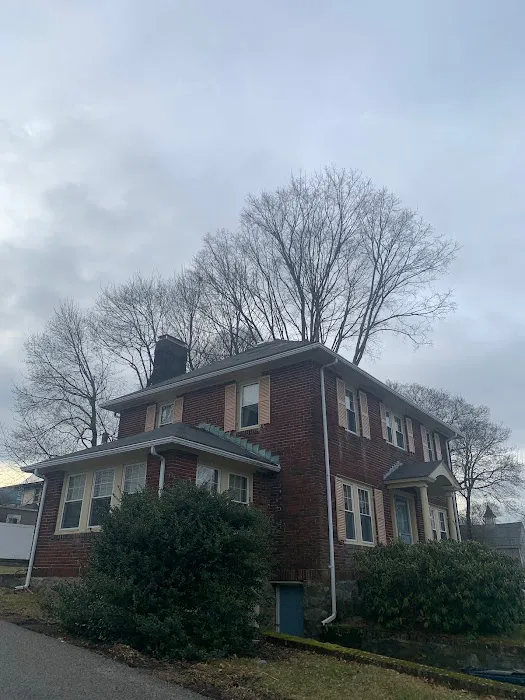 Roof Tops Picture 10